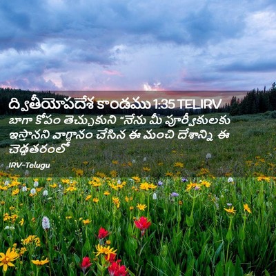 Picture 02 - ద్వితీయోపదేశ కాండము 1:35 TELIRV - బాగా కోపం - Bible Verse Picture
