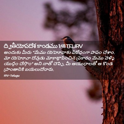 Picture 02 - ద్వితీయోపదేశ కాండము 1:41 TELIRV - అందుకు మీరు “మేము - Bible Verse Picture