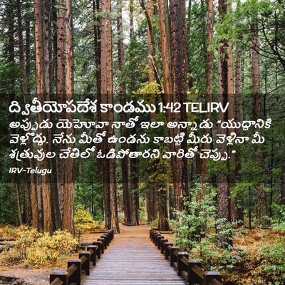 Picture 02 - ద్వితీయోపదేశ కాండము 1:42 TELIRV - అప్పుడు యెహోవా - Bible Verse Picture