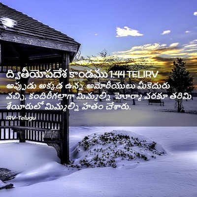 Picture 02 - ద్వితీయోపదేశ కాండము 1:44 TELIRV - అప్పుడు అక్కడ - Bible Verse Picture