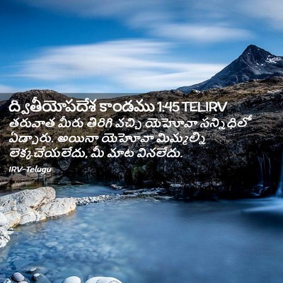 Picture 02 - ద్వితీయోపదేశ కాండము 1:45 TELIRV - తరువాత మీరు - Bible Verse Picture