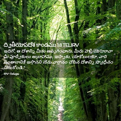 Picture 02 - ద్వితీయోపదేశ కాండము 1:8 TELIRV - ఇదిగో, ఆ దేశాన్ని - Bible Verse Picture