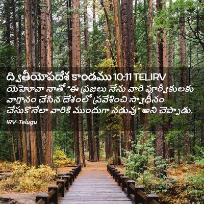 Picture 02 - ద్వితీయోపదేశ కాండము 10:11 TELIRV - యెహోవా నాతో “ఈ - Bible Verse Picture