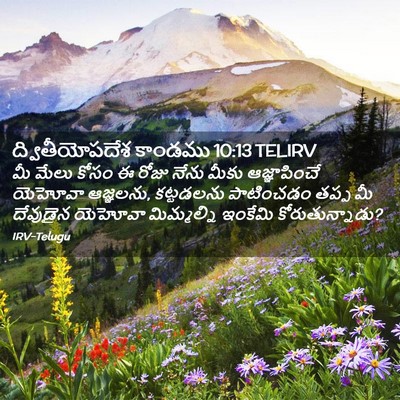 Picture 02 - ద్వితీయోపదేశ కాండము 10:13 TELIRV - మీ మేలు కోసం ఈ రోజు - Bible Verse Picture