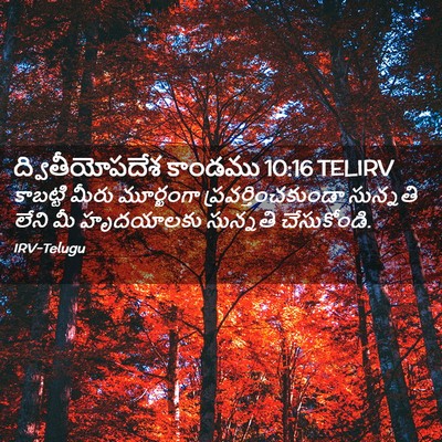 Picture 02 - ద్వితీయోపదేశ కాండము 10:16 TELIRV - కాబట్టి మీరు - Bible Verse Picture