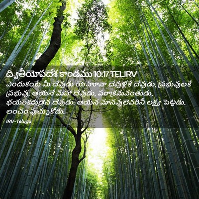 Picture 02 - ద్వితీయోపదేశ కాండము 10:17 TELIRV - ఎందుకంటే మీ - Bible Verse Picture