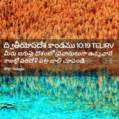 Picture 02 - ద్వితీయోపదేశ కాండము 10:19 TELIRV - మీరు ఐగుప్తు - Bible Verse Picture