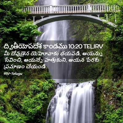 Picture 02 - ద్వితీయోపదేశ కాండము 10:20 TELIRV - మీ దేవుడైన - Bible Verse Picture