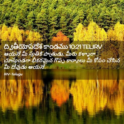 Picture 02 - ద్వితీయోపదేశ కాండము 10:21 TELIRV - ఆయనే మీ స్తుతికి - Bible Verse Picture