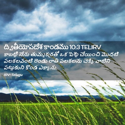 Picture 02 - ద్వితీయోపదేశ కాండము 10:3 TELIRV - కాబట్టి నేను - Bible Verse Picture