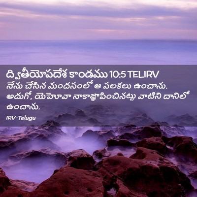 Picture 02 - ద్వితీయోపదేశ కాండము 10:5 TELIRV - నేను చేసిన - Bible Verse Picture