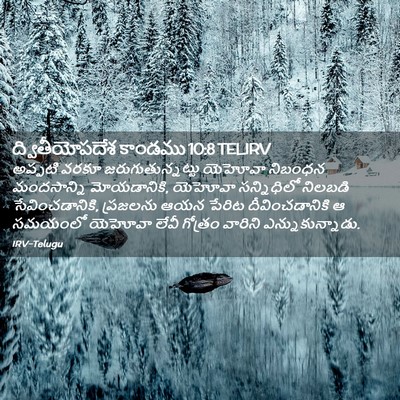 Picture 02 - ద్వితీయోపదేశ కాండము 10:8 TELIRV - అప్పటి వరకూ - Bible Verse Picture