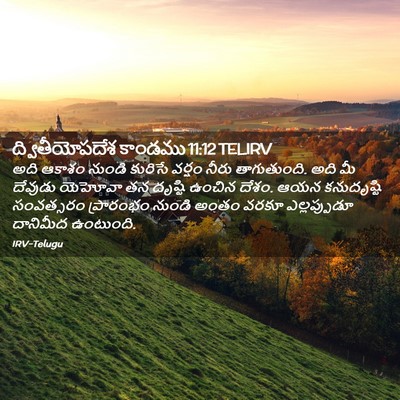 Picture 02 - ద్వితీయోపదేశ కాండము 11:12 TELIRV - అది ఆకాశం నుండి - Bible Verse Picture