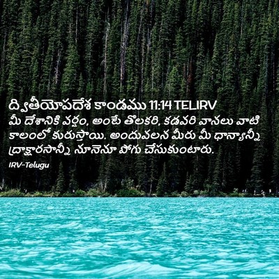 Picture 02 - ద్వితీయోపదేశ కాండము 11:14 TELIRV - మీ దేశానికి వర్షం, - Bible Verse Picture