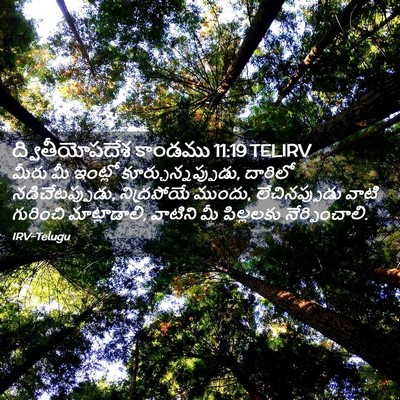 Picture 02 - ద్వితీయోపదేశ కాండము 11:19 TELIRV - మీరు మీ ఇంట్లో - Bible Verse Picture