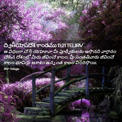 Picture 02 - ద్వితీయోపదేశ కాండము 11:21 TELIRV - ఆ విధంగా చేస్తే - Bible Verse Picture