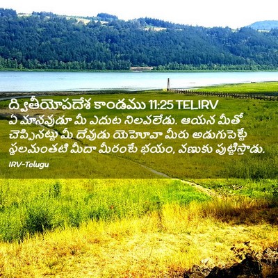 Picture 02 - ద్వితీయోపదేశ కాండము 11:25 TELIRV - ఏ మానవుడూ మీ ఎదుట - Bible Verse Picture