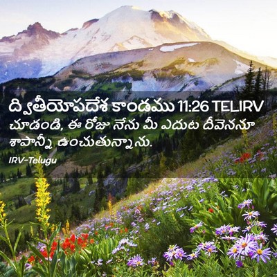 Picture 02 - ద్వితీయోపదేశ కాండము 11:26 TELIRV - చూడండి, ఈ రోజు నేను - Bible Verse Picture