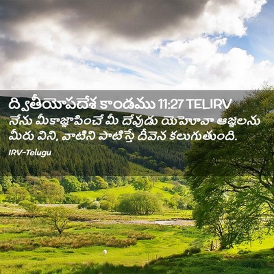 Picture 02 - ద్వితీయోపదేశ కాండము 11:27 TELIRV - నేను - Bible Verse Picture
