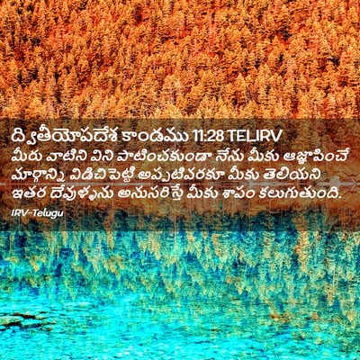Picture 02 - ద్వితీయోపదేశ కాండము 11:28 TELIRV - మీరు వాటిని విని - Bible Verse Picture