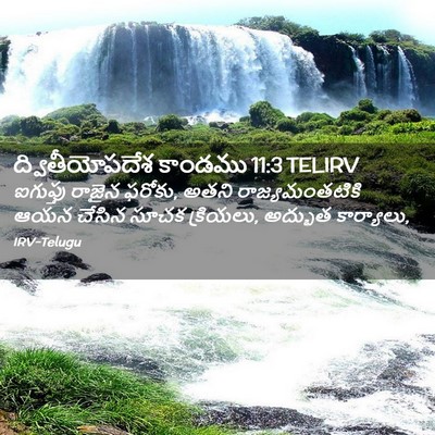 Picture 02 - ద్వితీయోపదేశ కాండము 11:3 TELIRV - ఐగుప్తు రాజైన - Bible Verse Picture