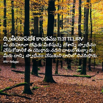 Picture 02 - ద్వితీయోపదేశ కాండము 11:31 TELIRV - మీ యెహోవా దేవుడు - Bible Verse Picture