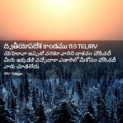 Picture 02 - ద్వితీయోపదేశ కాండము 11:5 TELIRV - యెహోవా ఇప్పటి - Bible Verse Picture