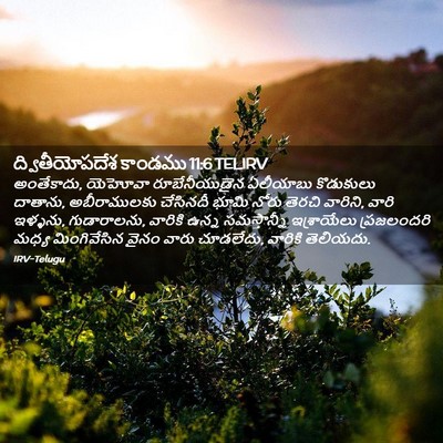 Picture 02 - ద్వితీయోపదేశ కాండము 11:6 TELIRV - అంతేకాదు, యెహోవా - Bible Verse Picture