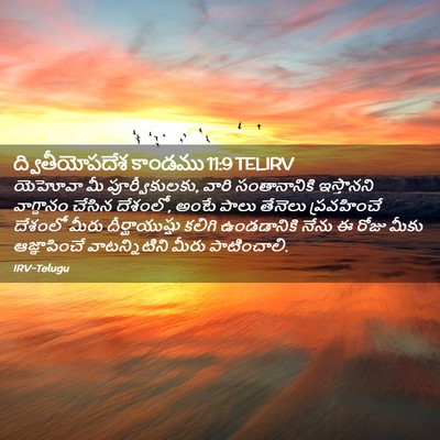 Picture 02 - ద్వితీయోపదేశ కాండము 11:9 TELIRV - యెహోవా మీ - Bible Verse Picture