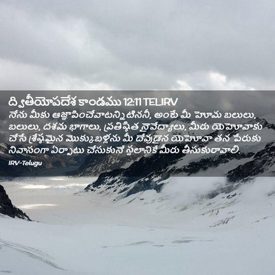 Picture 02 - ద్వితీయోపదేశ కాండము 12:11 TELIRV - నేను మీకు - Bible Verse Picture