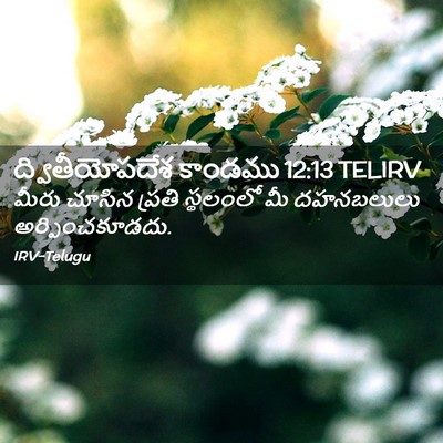 Picture 02 - ద్వితీయోపదేశ కాండము 12:13 TELIRV - మీరు చూసిన ప్రతి - Bible Verse Picture