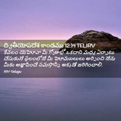 Picture 02 - ద్వితీయోపదేశ కాండము 12:14 TELIRV - కేవలం యెహోవా మీ - Bible Verse Picture
