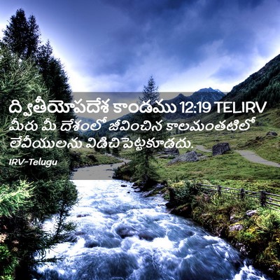 Picture 02 - ద్వితీయోపదేశ కాండము 12:19 TELIRV - మీరు మీ దేశంలో - Bible Verse Picture