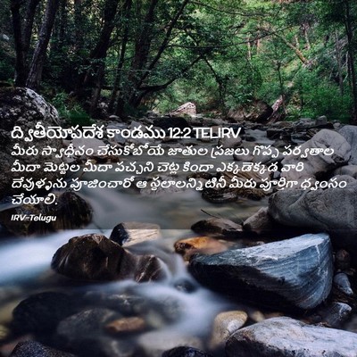 Picture 02 - ద్వితీయోపదేశ కాండము 12:2 TELIRV - మీరు స్వాధీనం - Bible Verse Picture