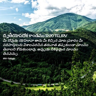 Picture 02 - ద్వితీయోపదేశ కాండము 12:20 TELIRV - మీ దేవుడు యెహోవా - Bible Verse Picture
