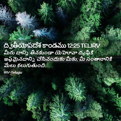 Picture 02 - ద్వితీయోపదేశ కాండము 12:25 TELIRV - మీరు దాన్ని - Bible Verse Picture
