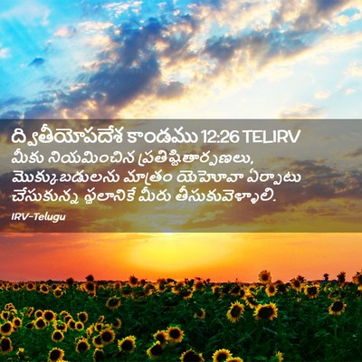 Picture 02 - ద్వితీయోపదేశ కాండము 12:26 TELIRV - మీకు నియమించిన - Bible Verse Picture