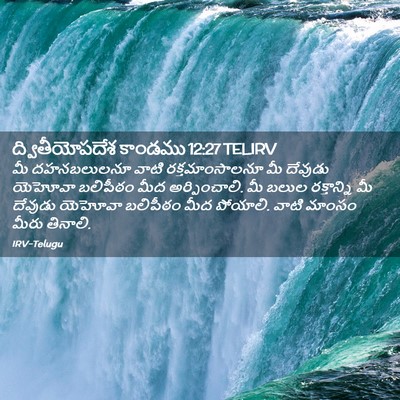 Picture 02 - ద్వితీయోపదేశ కాండము 12:27 TELIRV - మీ దహనబలులనూ వాటి - Bible Verse Picture