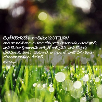 Picture 02 - ద్వితీయోపదేశ కాండము 12:3 TELIRV - వారి హోమపీఠాలను - Bible Verse Picture