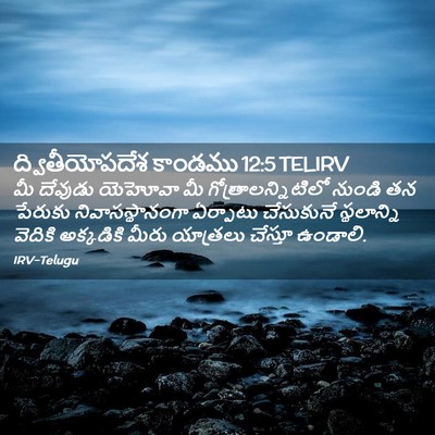 Picture 02 - ద్వితీయోపదేశ కాండము 12:5 TELIRV - మీ దేవుడు యెహోవా - Bible Verse Picture