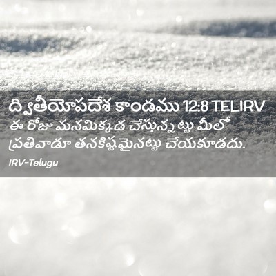 Picture 02 - ద్వితీయోపదేశ కాండము 12:8 TELIRV - ఈ రోజు మనమిక్కడ - Bible Verse Picture