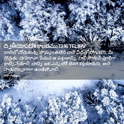 Picture 02 - ద్వితీయోపదేశ కాండము 13:16 TELIRV - దానిలో దోచుకున్న - Bible Verse Picture
