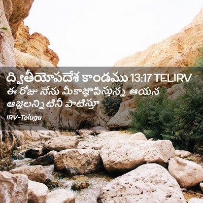Picture 02 - ద్వితీయోపదేశ కాండము 13:17 TELIRV - ఈ రోజు నేను - Bible Verse Picture