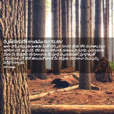 Picture 02 - ద్వితీయోపదేశ కాండము 13:3 TELIRV - అలా చెప్పినప్పుడు - Bible Verse Picture