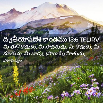 Picture 02 - ద్వితీయోపదేశ కాండము 13:6 TELIRV - మీ తల్లి కొడుకు, మీ - Bible Verse Picture