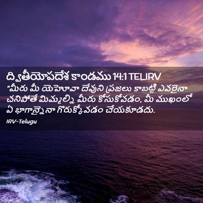 Picture 02 - ద్వితీయోపదేశ కాండము 14:1 TELIRV - “మీరు మీ యెహోవా - Bible Verse Picture