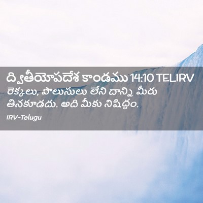 Picture 02 - ద్వితీయోపదేశ కాండము 14:10 TELIRV - రెక్కలు, పొలుసులు - Bible Verse Picture