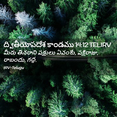Picture 02 - ద్వితీయోపదేశ కాండము 14:12 TELIRV - మీరు తినరాని - Bible Verse Picture