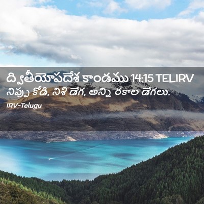 Picture 02 - ద్వితీయోపదేశ కాండము 14:15 TELIRV - నిప్పు కోడి, నిశి - Bible Verse Picture