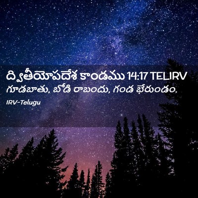 Picture 02 - ద్వితీయోపదేశ కాండము 14:17 TELIRV - గూడబాతు, బోడి - Bible Verse Picture